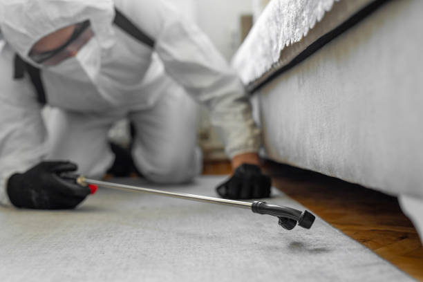 Professional Bed Bug Control technician working in Millers Falls, MA